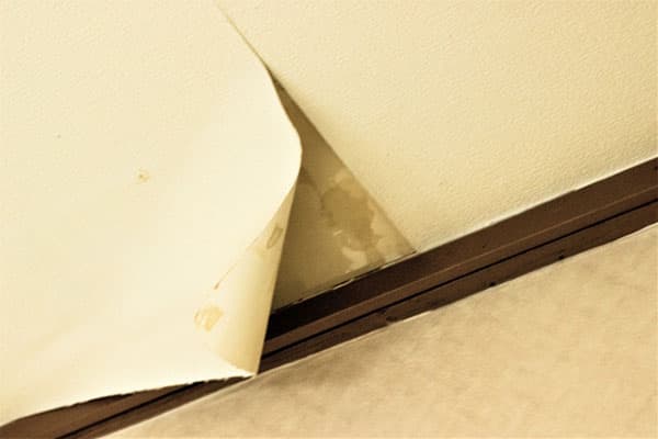 外壁塗装塗り替えサイン：クロスの剥がれや捲れがある