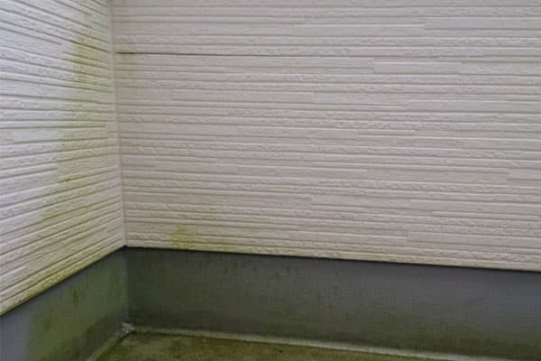 外壁塗装塗り替えサイン：壁のコケ・カビ