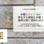 外壁にカビ・藻が発生する原因と対策！再発を防ぐ塗料とは？
